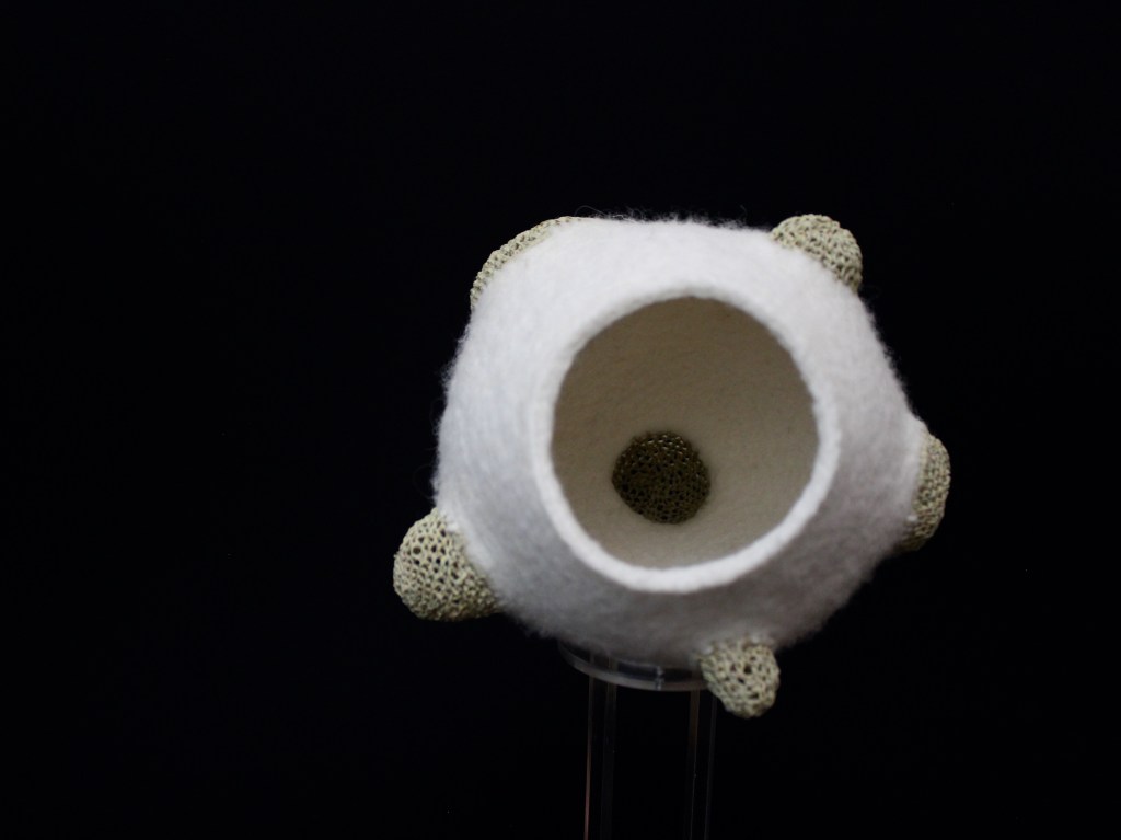 TRANSMUTACIONES DE SELVA